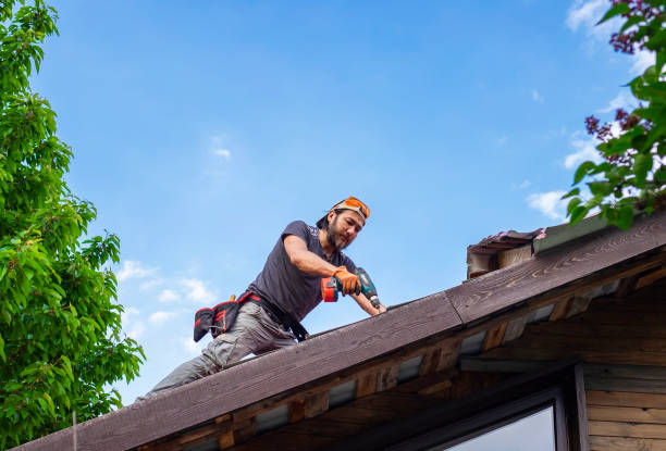 Best Solar Panel Roofing Installation  in Grant City, MO